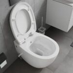 Poussoir toilette bloqué (ou cassé)