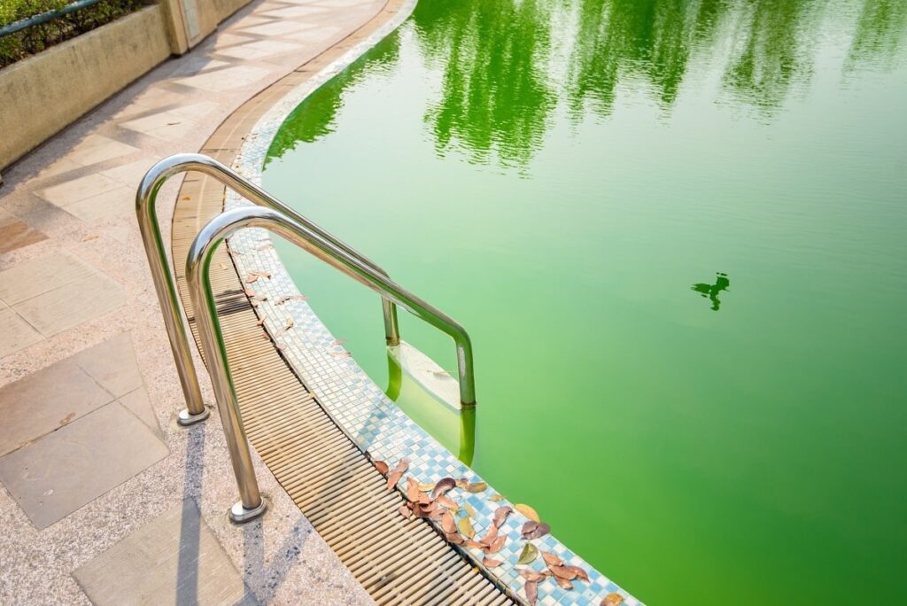 eau de piscine verte remede de grand mère