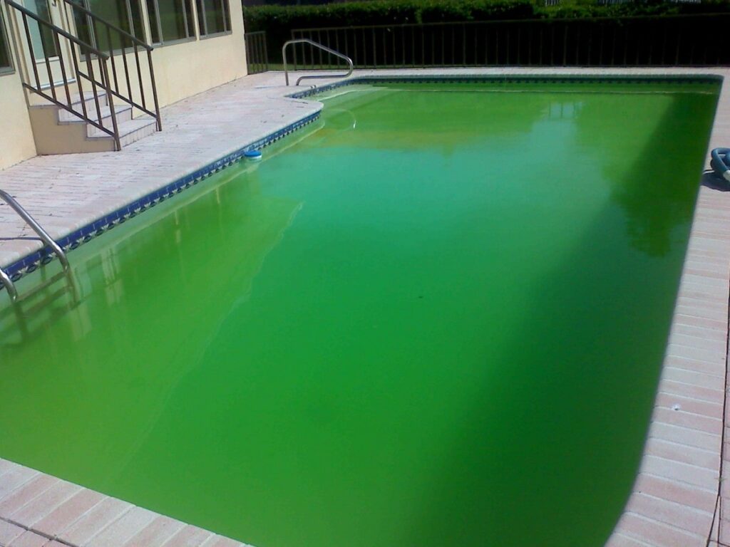 piscine verte chlore choc