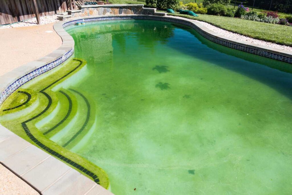  éviter que l'eau de sa piscine devienne verte