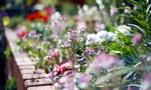 poser des bordures de jardin sans beton