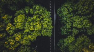 vlad hilitanu QqSIuvz94s8 unsplash
