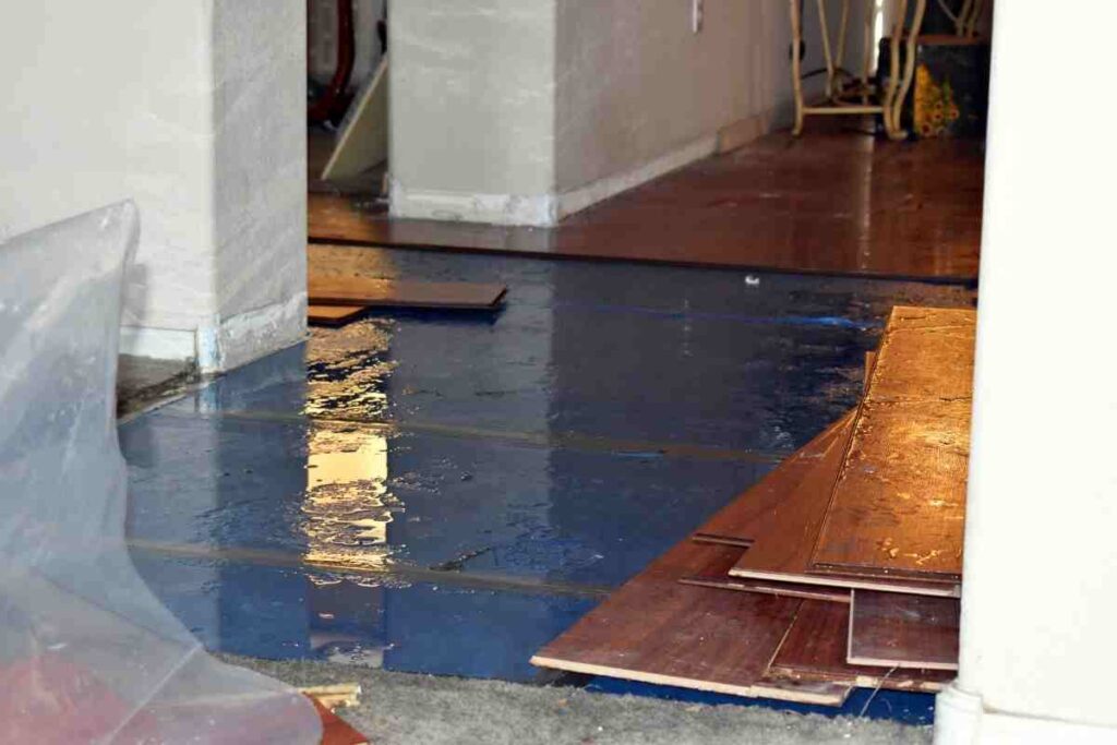 astuce expertise dégât des eaux.