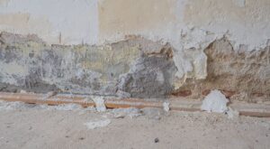 xr:d:DAFUKmWZPxY:1868,j:2673296600785379487,t:23112416