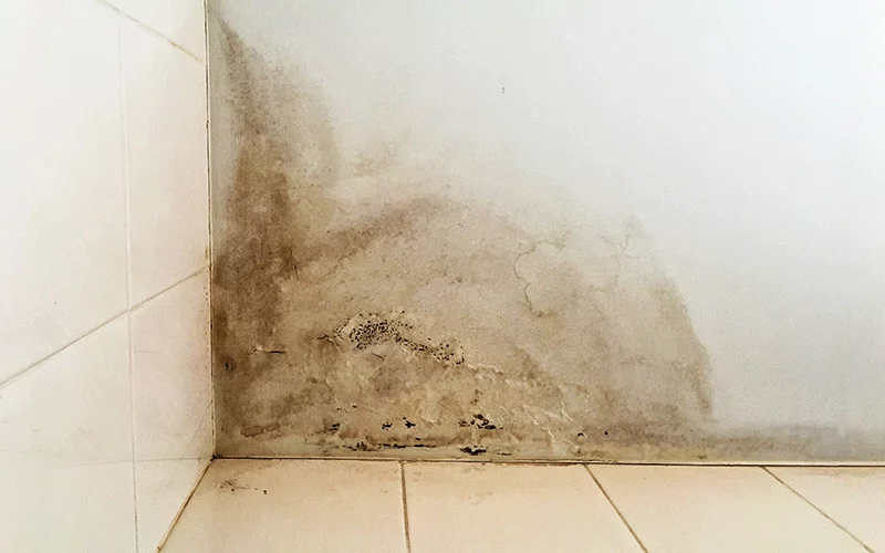 Comment éviter le retour de l’humidité après le traitement de l’angle du mur
