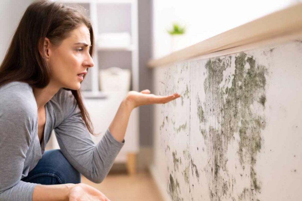 Quelles erreurs éviter lors du piquage d’un mur touché par l’humidité