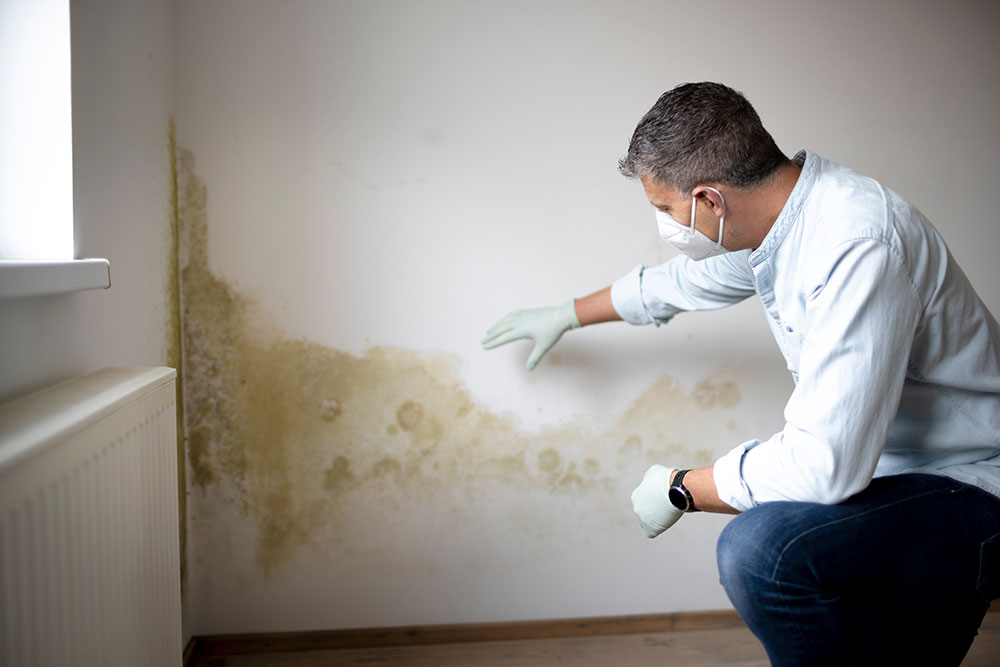 Quels risques entraîne un angle de mur humide dans une maison